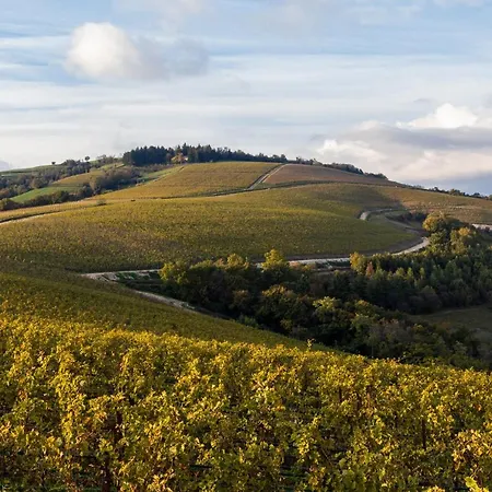 La Collina Dei Ciliegi 3*