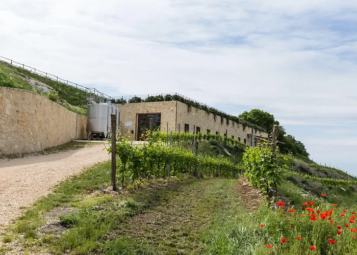 La Collina Dei Ciliegi Hotel