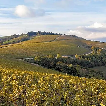 Hotel La Collina Dei Ciliegi 3*