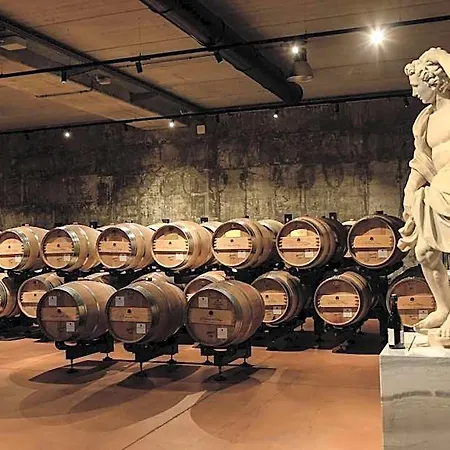 La Collina Dei Ciliegi 3*
